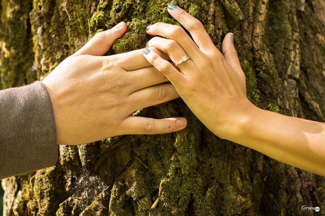 Korami__suchital__colima__2