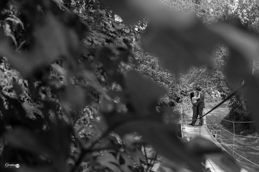 Korami__suchital__colima__7