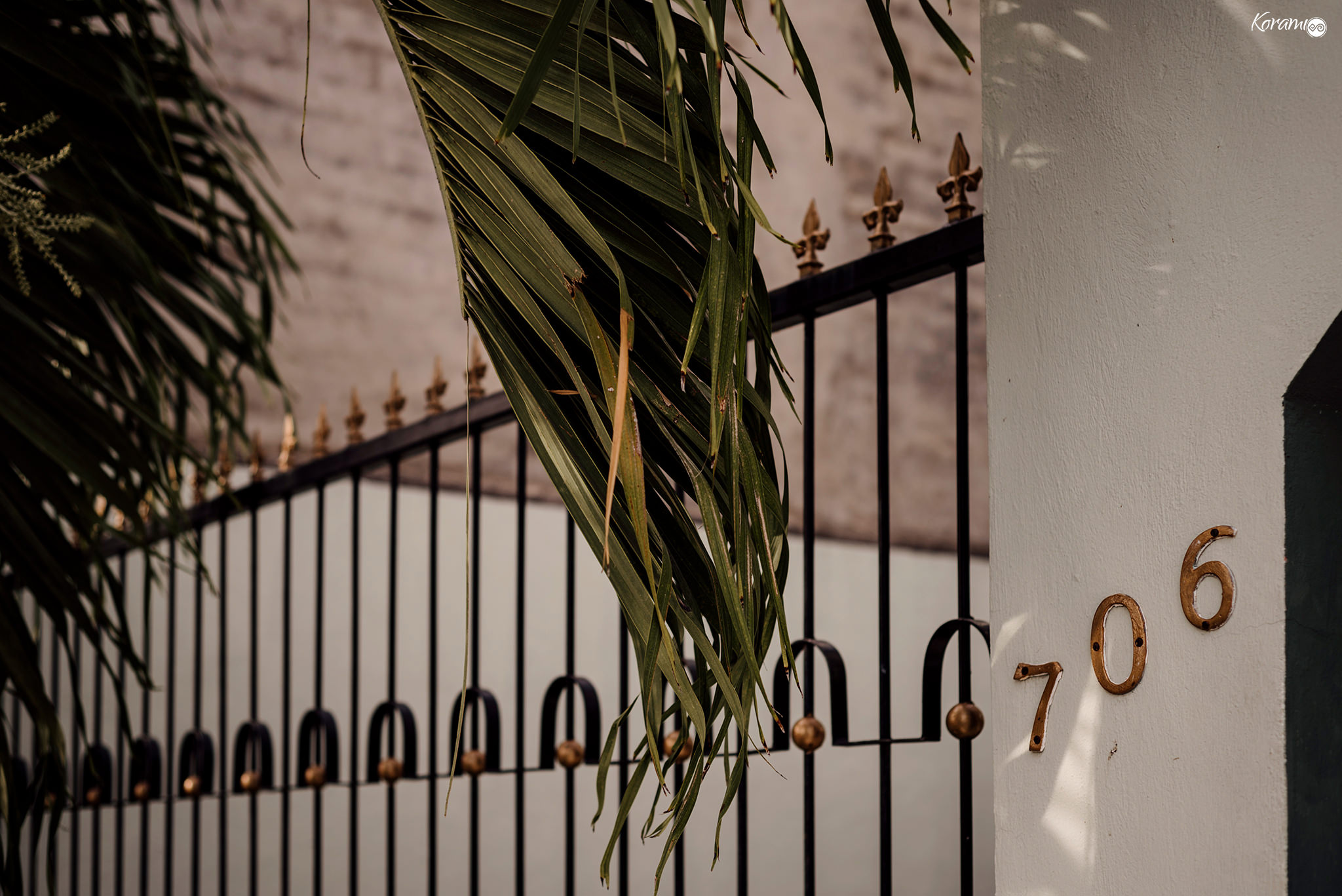 Boda-Hacieda-Jardin_del_Eden-Wedding_Photographer-Mexican_Wedding-Bodas_Mexico-Bodas-Colima--010